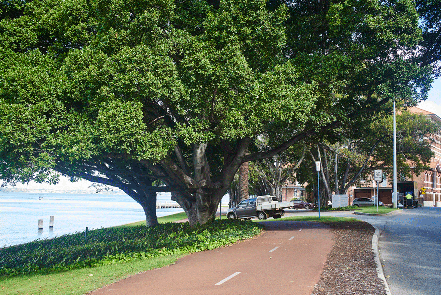Mounts Bay Road